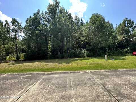 46 Dana'S Way Way, Columbia, NC 27925