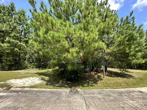 85 Dana'S Way Way, Columbia, NC 27925