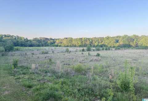 40 PAGE CREEK ROAD, CHELSEA, AL 35043