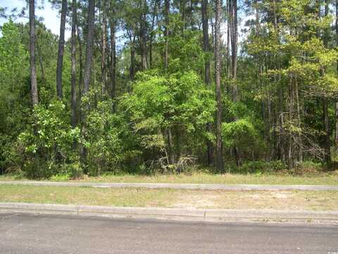 103 Pineberry Dr., Georgetown, SC 29440
