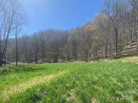 00 Laurel Valley Road, Mars Hill, NC 28754