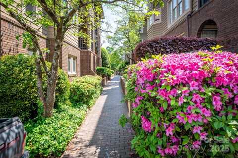 1101 E Morehead Street unit: 31, Charlotte, NC 28204