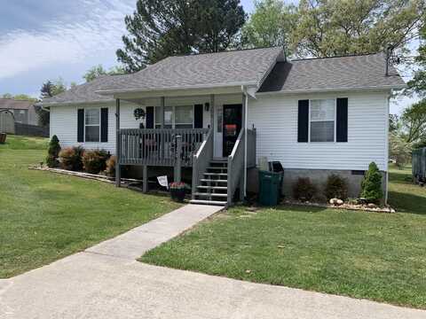 1306 Tabitha Drive, White Pine, TN 37890