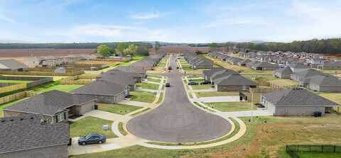 494 Carter Grove Rd, Toney, AL 35773