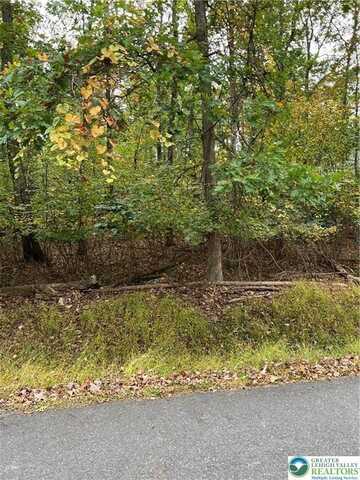 Dogwood Lane, Middle Smithfield Twp, PA 18302