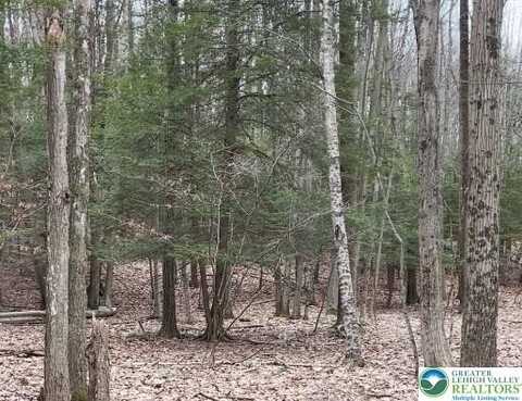 153 Pine Tree Drive, Paradise Twp, PA 18326