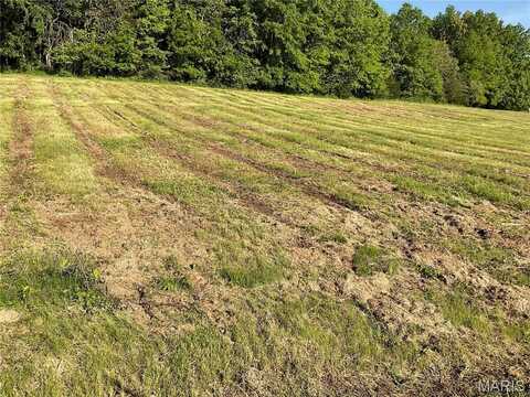 121 Red Barn Lane, Defiance, MO 63341