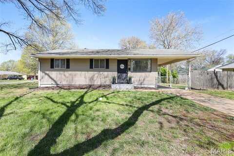 35 Florissant Park Drive, Florissant, MO 63031