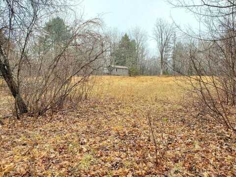 0 Ryan Road, Baileyville, ME 04694