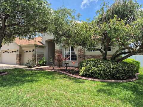 30434 COLEHAVEN COURT, WESLEY CHAPEL, FL 33543