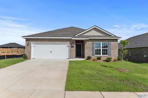 219 Pine Island Avenue, Toney, AL 35773
