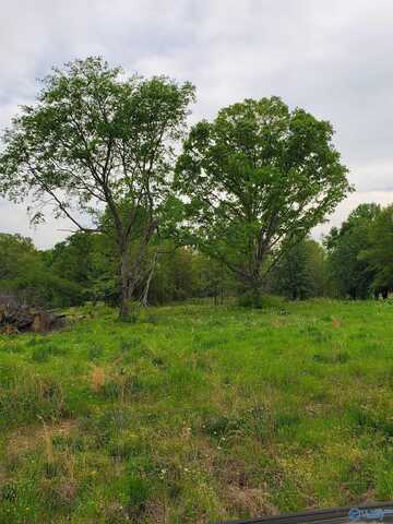 758 County Road 88, Trinity, AL 35673