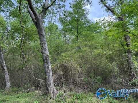* Gross Road, Guntersville, AL 35976