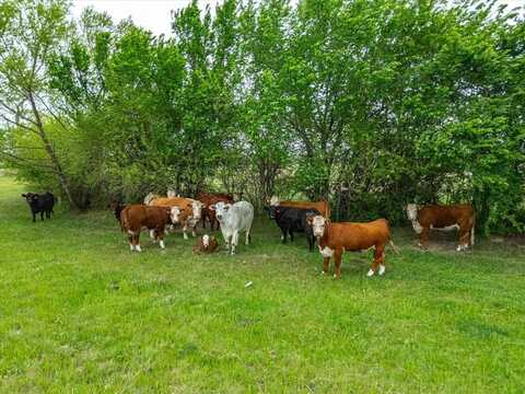 Tbd Lot Pt 15 & 16 County Road 1271, Alvord, TX 76225