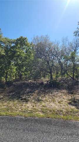 2872 W Lambert Drive, Dunnellon, FL 34433