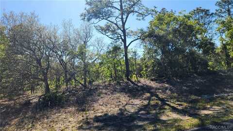 2882 W Lambert Drive, Dunnellon, FL 34433