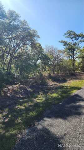 2882 W Lambert Drive, Dunnellon, FL 34433