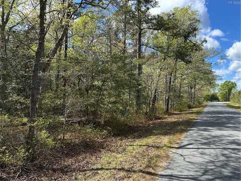 00 Briery Swamp Road, Jamaica, VA 23079