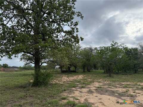 3661 State Highway 123, Stockdale, TX 78160