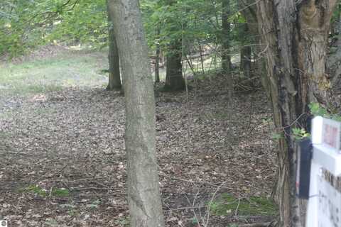 Lot 21 Crystal View Commons, Beulah, MI 49617