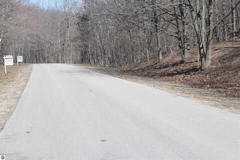 lot 19 Crystal View Commons, Beulah, MI 49617