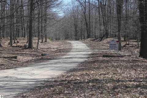 lot 4 Crystal View Commons, Beulah, MI 49617