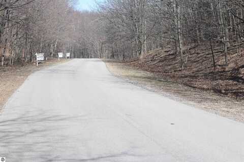 lot 19 Crystal View Commons, Beulah, MI 49617