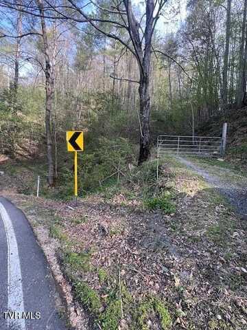 Tbd Spivey Mountain Road Road, Erwin, TN 37650