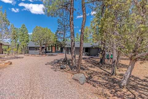 2920 W Blazingstar Road, Show Low, AZ 85901