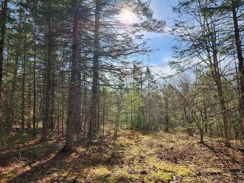 151 Church Lane, Au Sable Forks, NY 12912