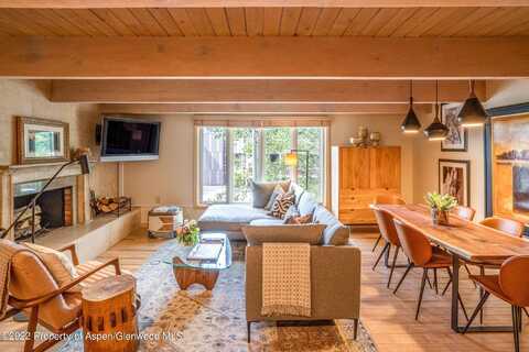 731 E Durant Avenue, Aspen, CO 81611