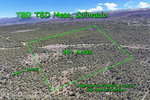 Tbd TBD, Mesa, CO 81643