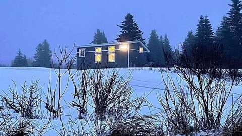17203 Hyila Lane, Ninilchik, AK 99639