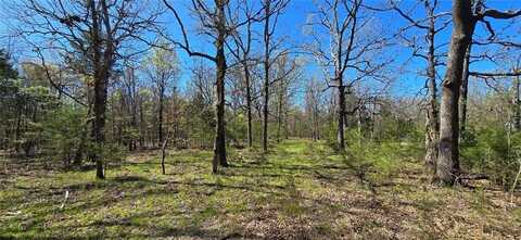 0000 Wilderness Springs - Tract CCCCC TR, Lead Hill, AR 72544
