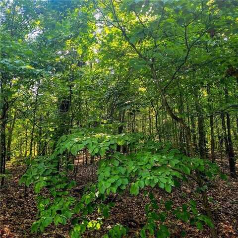 Peebles CIR, Bella Vista, AR 72715
