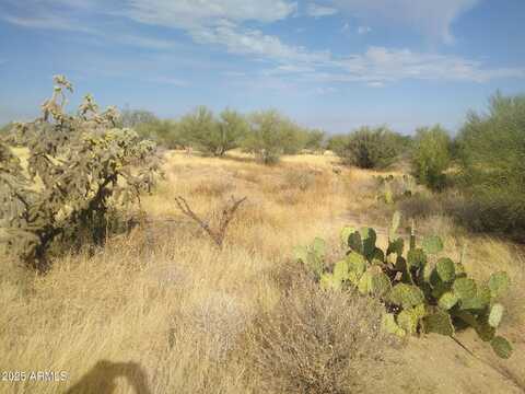 0 NW Longbranch Road, Tucson, AZ 85736