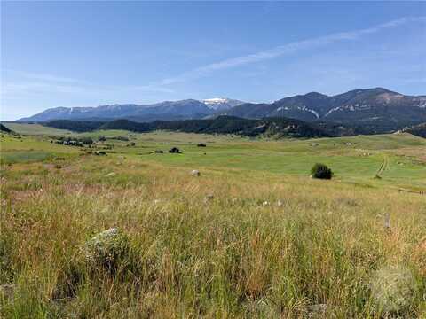Lot # 40 Spreading Winge Lane, Nye, MT 59061