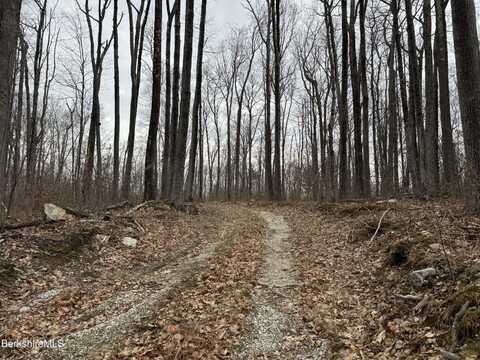 0 Lake Buel Rd, Great Barrington, MA 01230