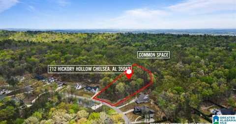 712 HICKORY HOLLOW, CHELSEA, AL 35043