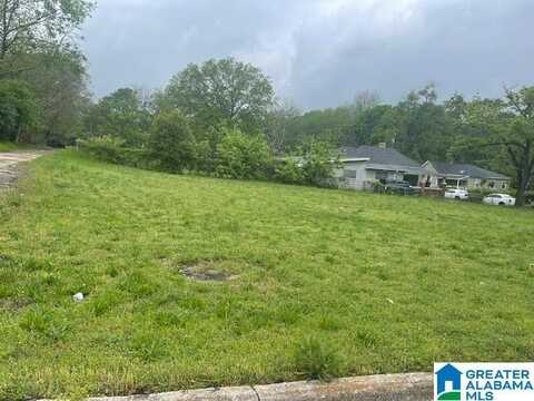217 POWELL AVENUE, BIRMINGHAM, AL 35205