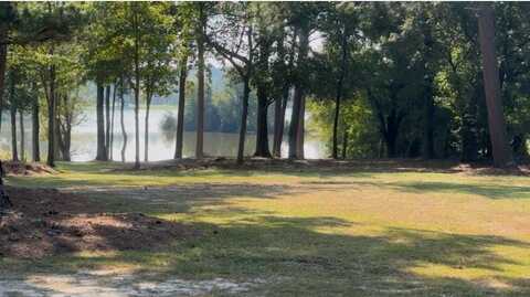 Lot #13 Lakeview Dr., Cordele, GA 31015
