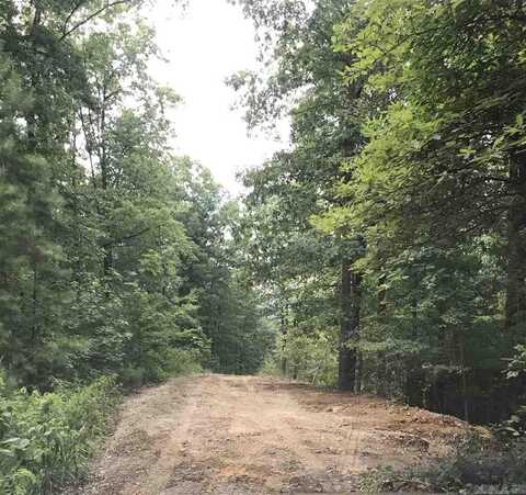 111 Kospelich, Jessieville, AR 71949