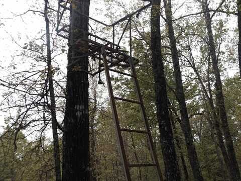 Lt 7,8,20,21,22 Tuscon Lane, Viola, AR 72583