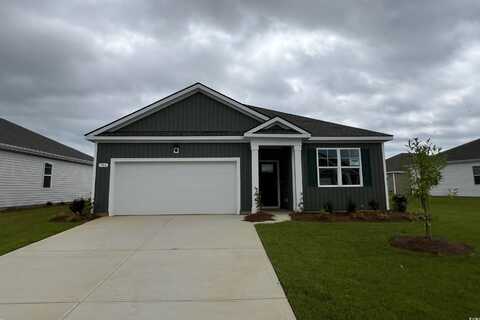 706 Chazen Way, Longs, SC 29568