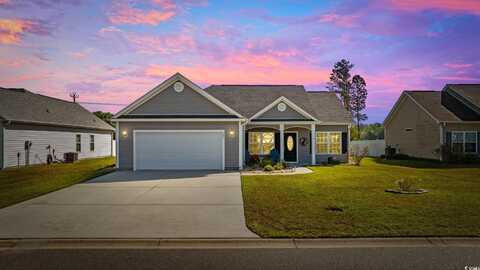237 Copperwood Loop, Conway, SC 29526