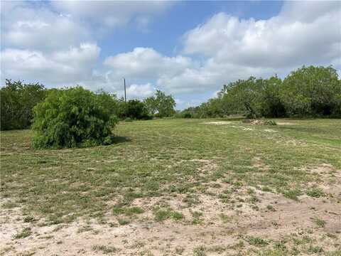 00 Clearview, Sandia, TX 78383