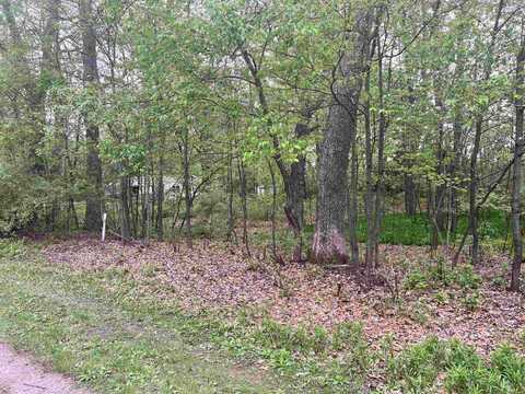 Lot 34 Seelinger, Harrison, MI 48625