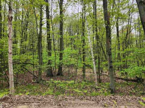 Lot 782 Elkhorn, Farwell, MI 48622