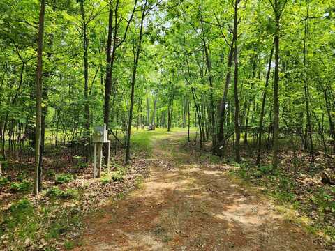 Lot 1340 Pine Run, Farwell, MI 48622