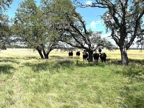 lot9101112 Ranch Rd 783, Harper, TX 78631